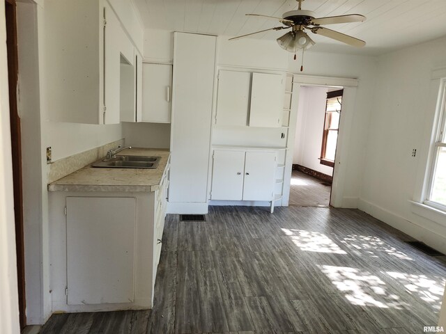 333 S Elm St, Lincoln, IL 62656 - kitchen featuring a ceiling fan, light countertops, dark wood-style flooring, and white cabinetry