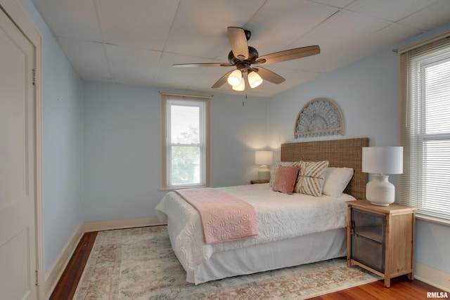 2204 Spring St, Quincy, IL 62301 - bedroom featuring wood finished floors, multiple windows, a ceiling fan, and a drop ceiling