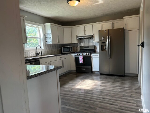 726 W N St, Auburn, IL 62629 - kitchen featuring appliances with stainless steel finishes, under cabinet range hood, wood finished floors, and tasteful backsplash