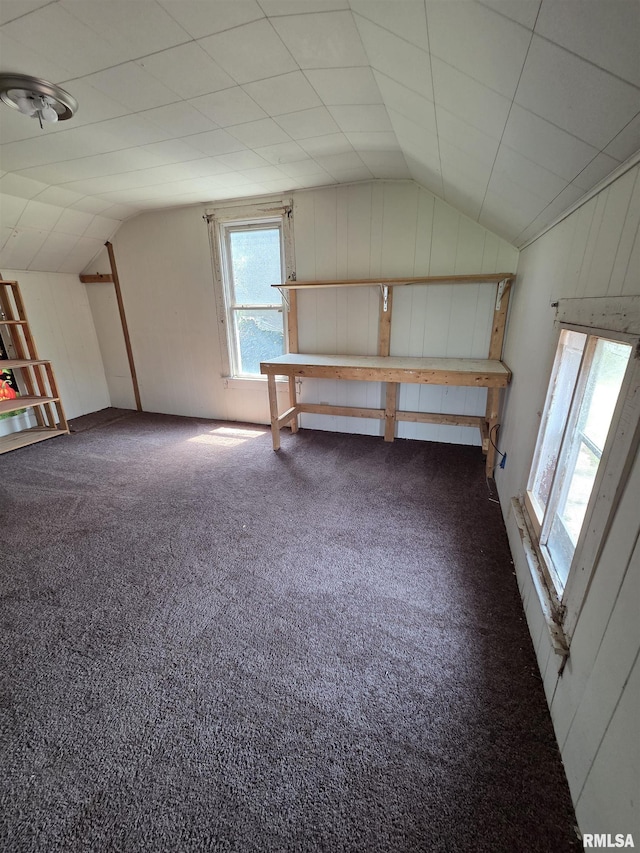 1355 Old Wagon Rd, Knoxville, IL 61448 - bonus room with lofted ceiling, carpet floors, and wooden walls