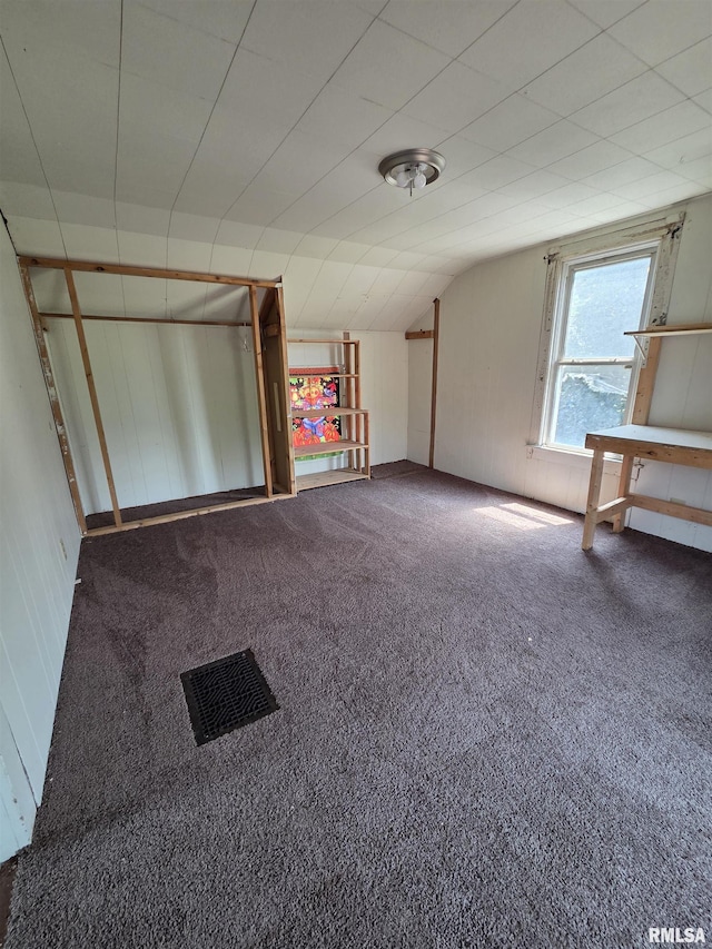 1355 Old Wagon Rd, Knoxville, IL 61448 - unfurnished bedroom featuring lofted ceiling and carpet flooring