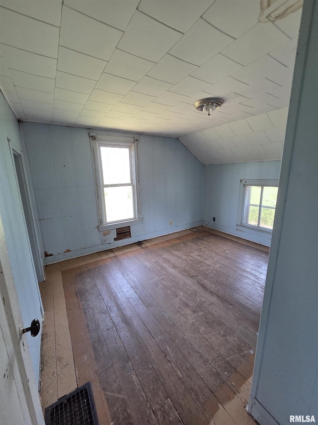 1355 Old Wagon Rd, Knoxville, IL 61448 - additional living space with healthy amount of natural light, wood-type flooring, and lofted ceiling