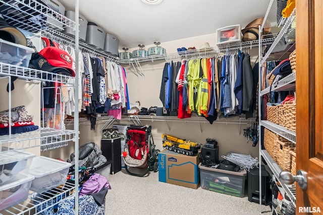 5313 Jaeger Dr, Springfield, IL 62711 - view of walk in closet