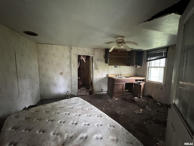 219 5th St, Lincoln, IL 62656 - kitchen with ceiling fan and a sink