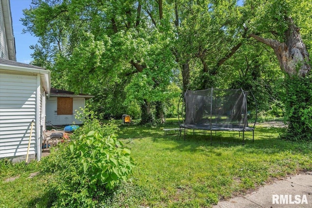 1230 S 13th St, Springfield, IL 62703 - view of green lawn featuring a trampoline