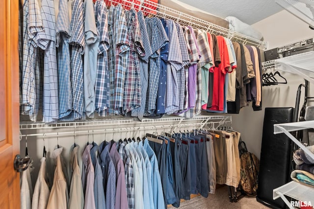2308 Halifax Ave, Chatham, IL 62629 - walk in closet featuring carpet flooring