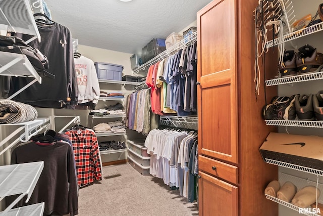 2308 Halifax Ave, Chatham, IL 62629 - walk in closet with carpet