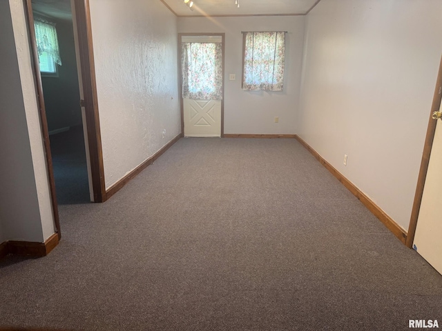 220 E Adams St, Petersburg, IL 62675 - empty room featuring carpet and baseboards
