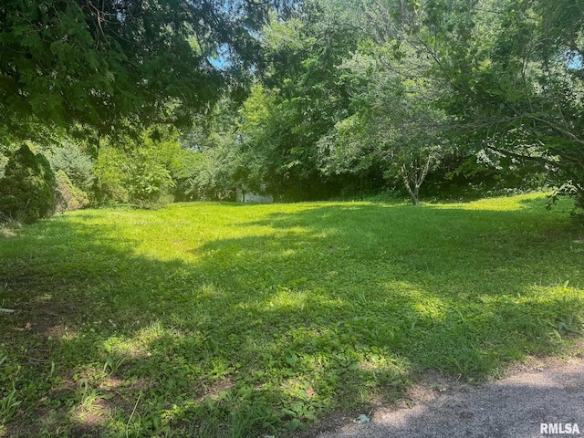 220 E Adams St, Petersburg, IL 62675 - view of yard