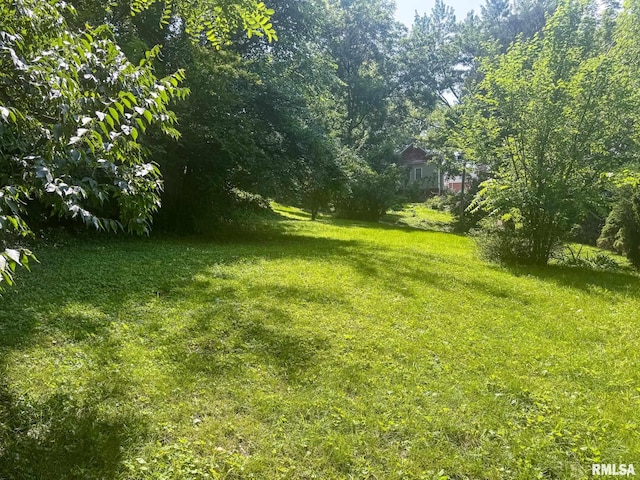 220 E Adams St, Petersburg, IL 62675 - view of grassy yard