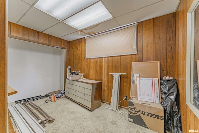 9320 Dawson Ln, Riverton, IL 62561 - miscellaneous room featuring carpet and wood walls