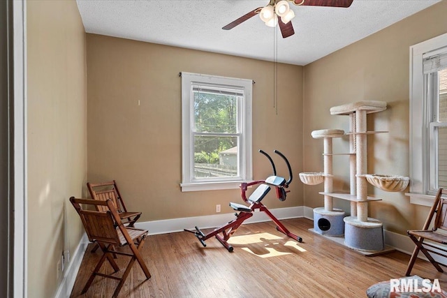 2141 S 4th St, Springfield, IL 62703 - exercise area featuring a ceiling fan, a textured ceiling, and wood finished floors
