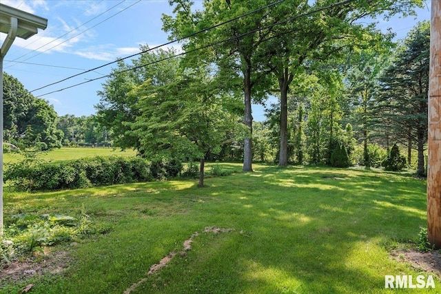 2141 S 4th St, Springfield, IL 62703 - view of green lawn