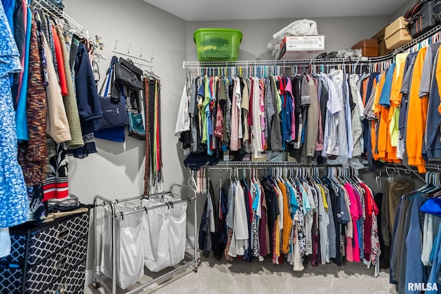 10 The Elms Ln, Springfield, IL 62712 - spacious closet with carpet