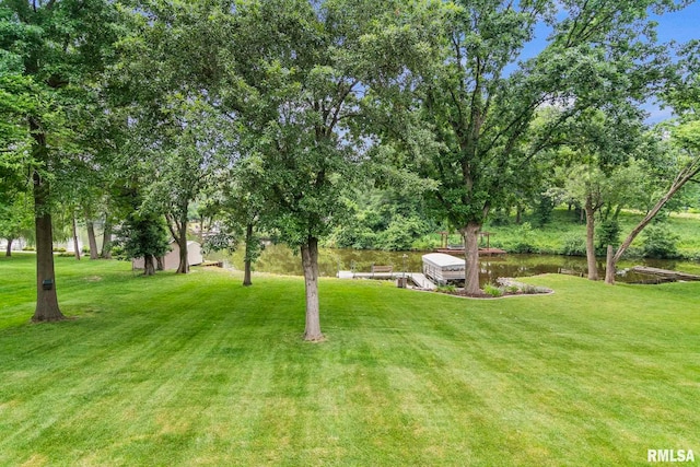 10 The Elms Ln, Springfield, IL 62712 - view of green lawn with a water view