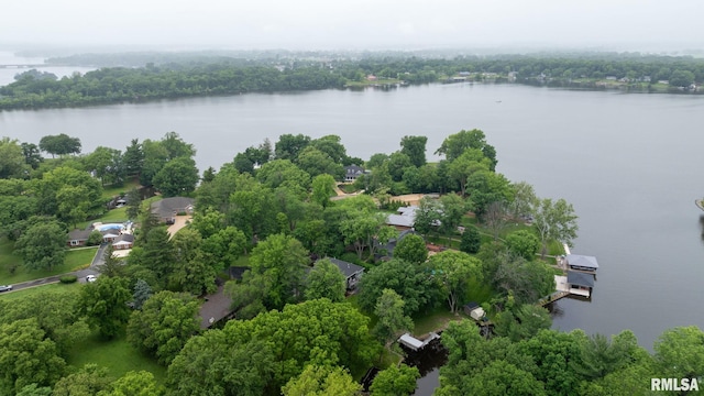 10 The Elms Ln, Springfield, IL 62712 - drone / aerial view of a large body of water
