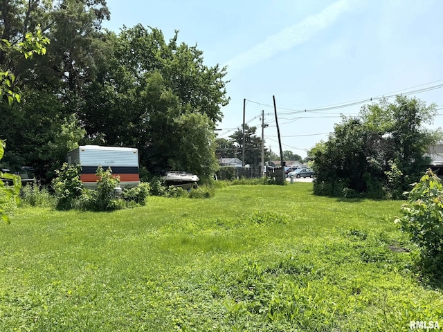 931 S A St, Monmouth, IL 61462 - view of yard
