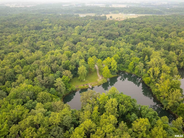 7034 Parks Ln, Carrier Mills, IL 62917