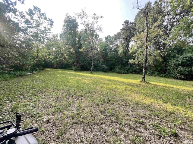 7034 Parks Ln, Carrier Mills, IL 62917
