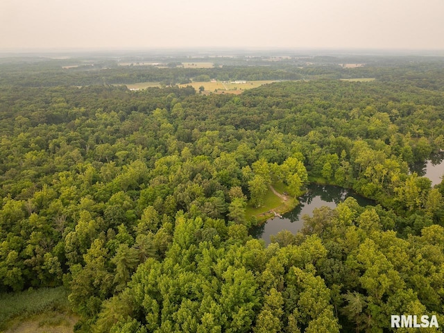 7034 Parks Ln, Carrier Mills, IL 62917