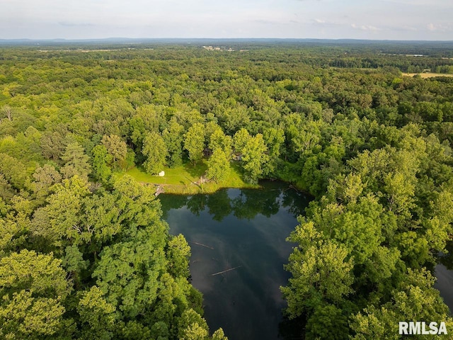 7034 Parks Ln, Carrier Mills, IL 62917