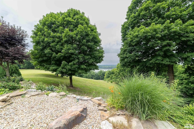 3939 Musholt Strasse Ln, Quincy, IL 62305 - view of green lawn
