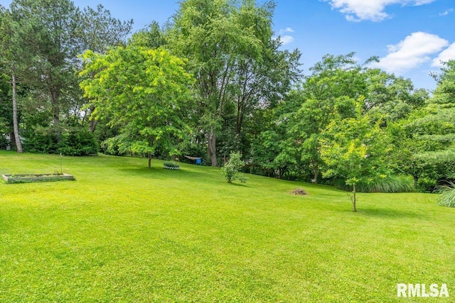 3713 Tyler Ct, Springfield, IL 62711 - view of grassy yard