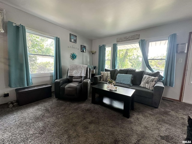 1025 S 15th St, Quincy, IL 62301 - carpeted living room with healthy amount of natural light
