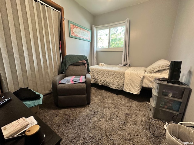 1025 S 15th St, Quincy, IL 62301 - view of carpeted bedroom