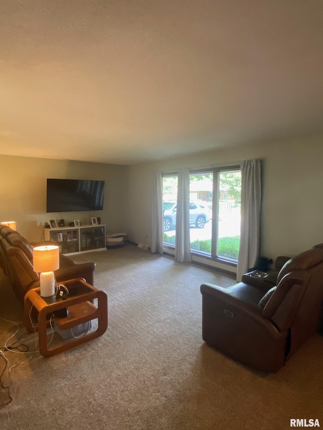 27 Apache Dr, Springfield, IL 62711 - view of carpeted living room