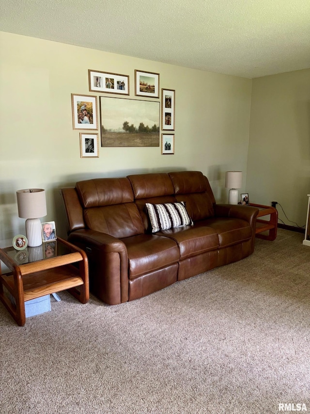 27 Apache Dr, Springfield, IL 62711 - carpeted living area with a textured ceiling