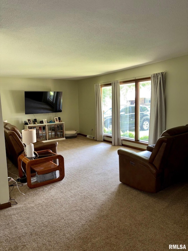 27 Apache Dr, Springfield, IL 62711 - carpeted living area with a textured ceiling