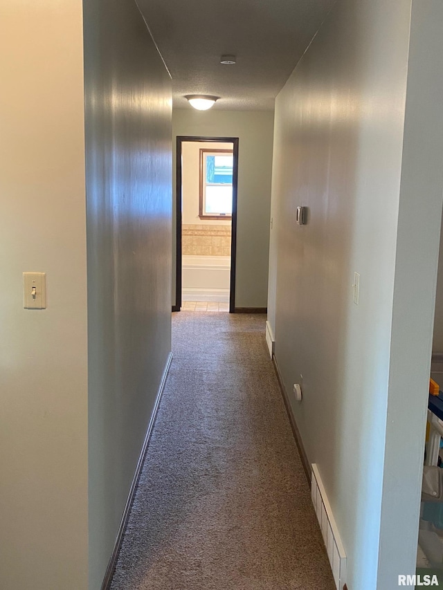 27 Apache Dr, Springfield, IL 62711 - corridor with carpet flooring and baseboards