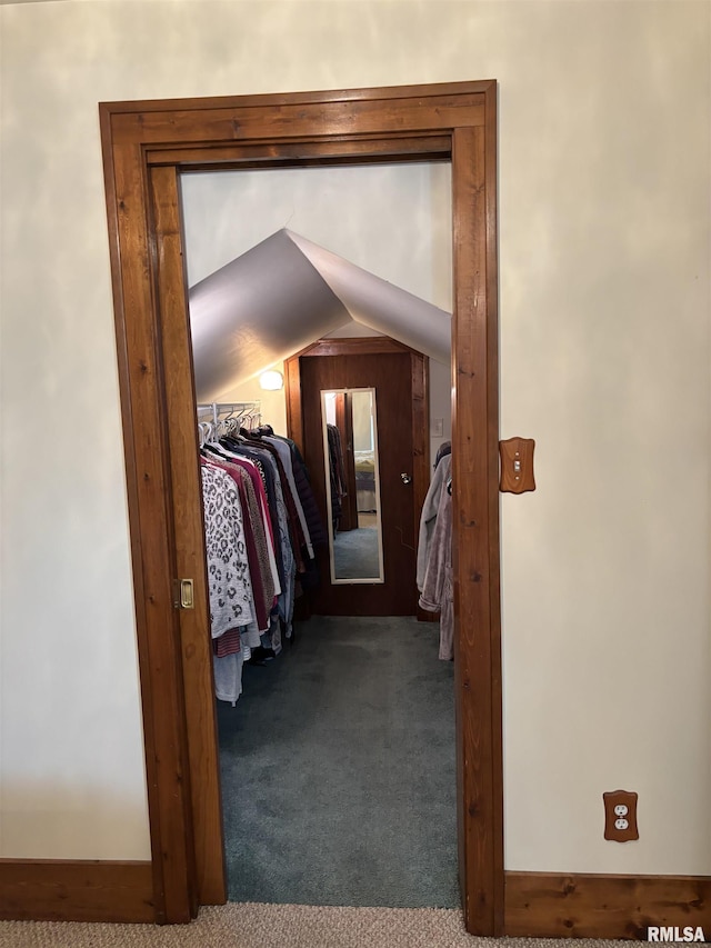 1905 S Whittier Ave, Springfield, IL 62704 - walk in closet featuring carpet floors