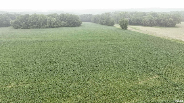 0000 W Timber Rd, Mapleton, IL 61547