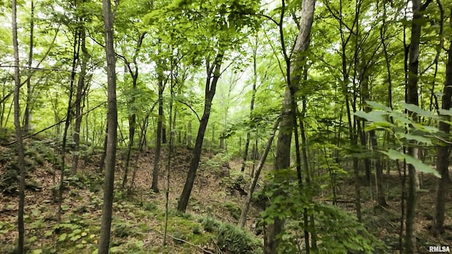 0000 W Timber Rd, Mapleton, IL 61547