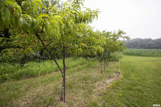 0000 W Timber Rd, Mapleton, IL 61547