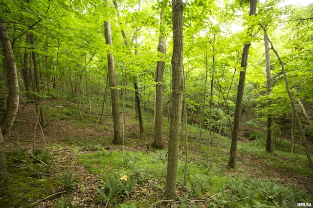 0000 W Timber Rd, Mapleton, IL 61547