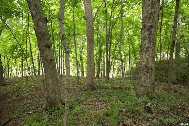0000 W Timber Rd, Mapleton, IL 61547