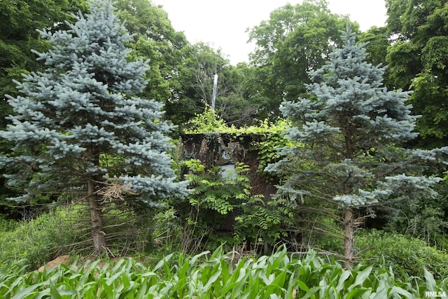 0000 W Timber Rd, Mapleton, IL 61547
