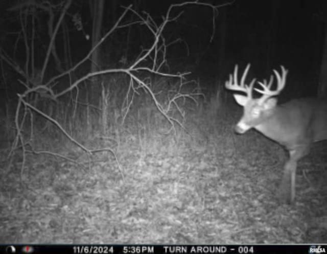 0000 W Timber Rd, Mapleton, IL 61547