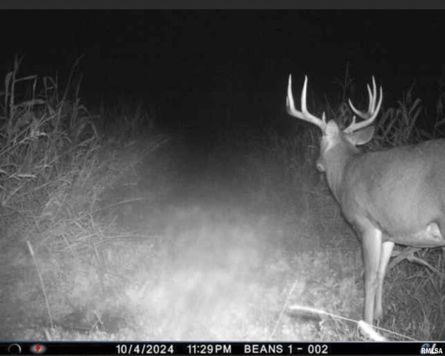 0000 W Timber Rd, Mapleton, IL 61547