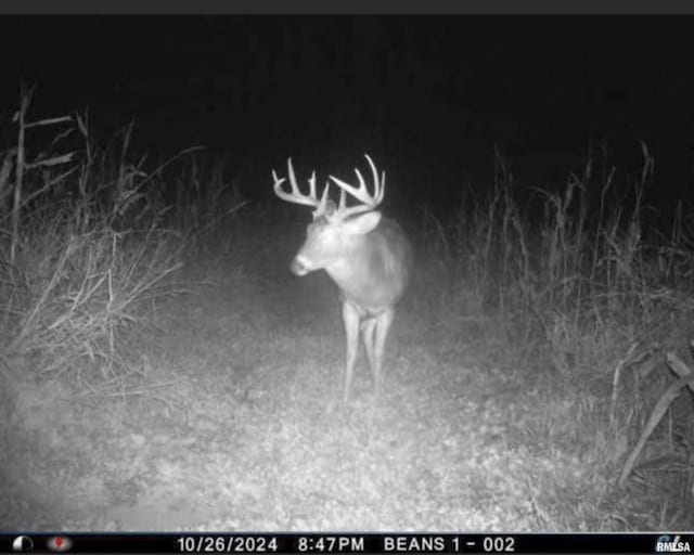0000 W Timber Rd, Mapleton, IL 61547
