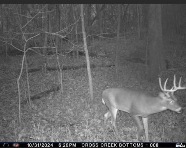 0000 W Timber Rd, Mapleton, IL 61547