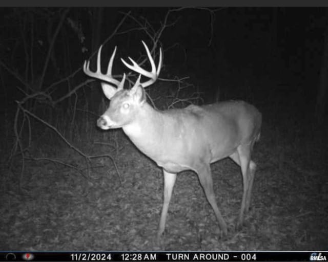 0000 W Timber Rd, Mapleton, IL 61547