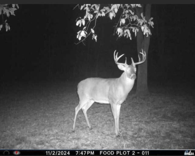 0000 W Timber Rd, Mapleton, IL 61547