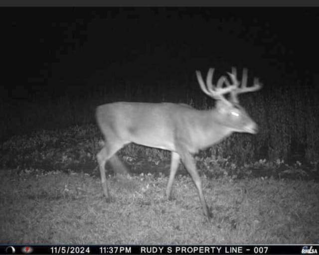 0000 W Timber Rd, Mapleton, IL 61547