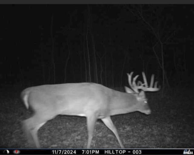 0000 W Timber Rd, Mapleton, IL 61547