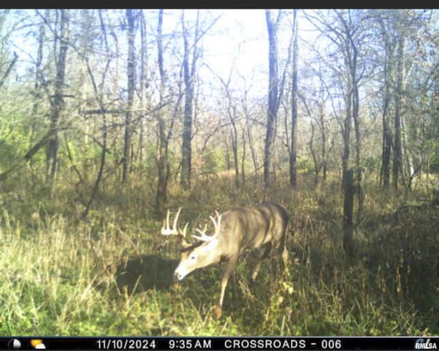 0000 W Timber Rd, Mapleton, IL 61547