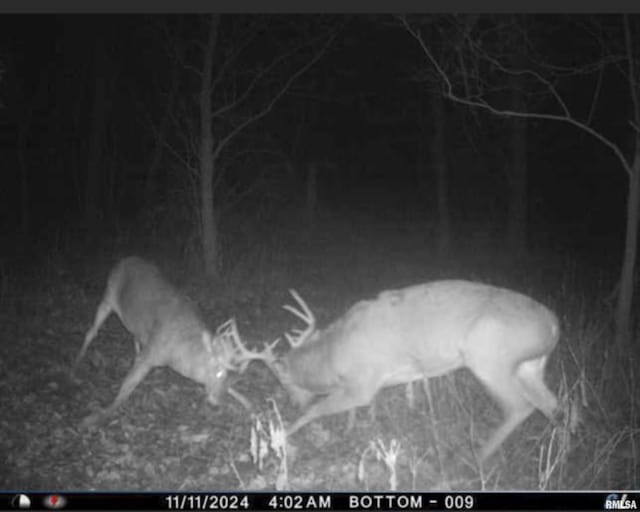 0000 W Timber Rd, Mapleton, IL 61547